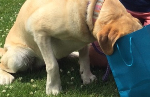 Olive checking out her goodie bag