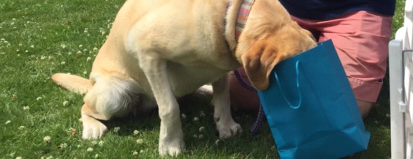 Olive checking out her goodie bag